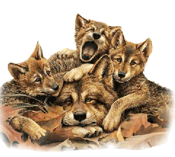 wolf and cubs